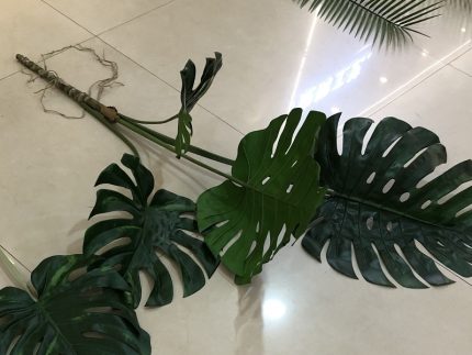 Turtle Back Leaves - Large