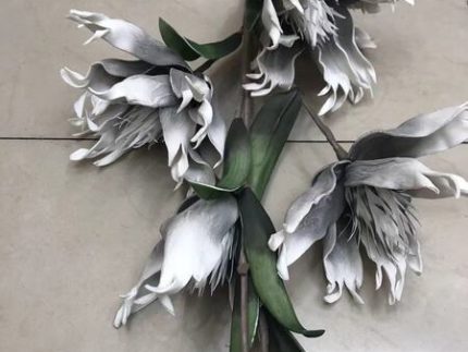 Flower47-BLK (Set of 5)