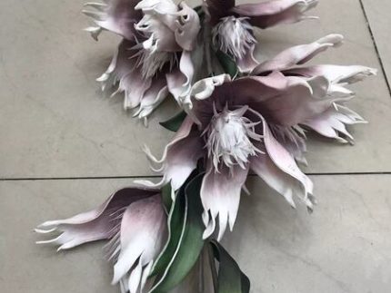 Flower47-PUR (Set of 5)