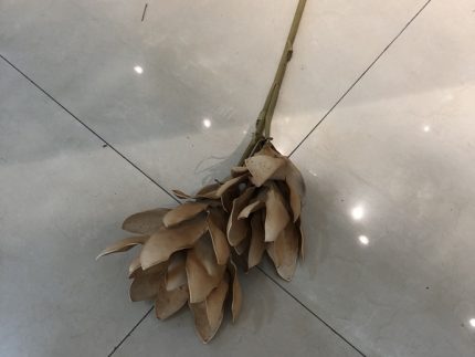 Jade Lotus -Light Brown (Set of 4)