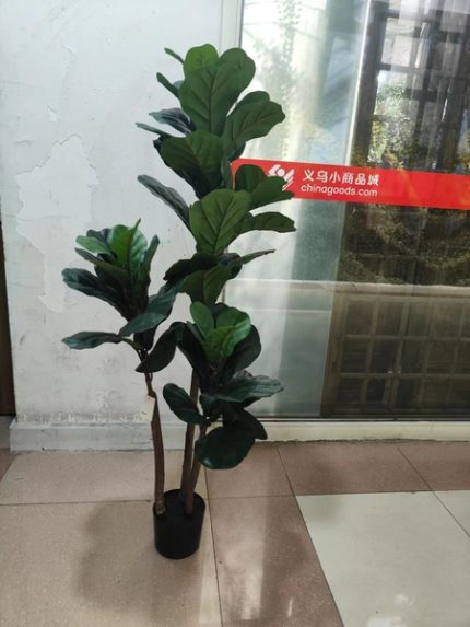 Artificial Ficus Lyrate