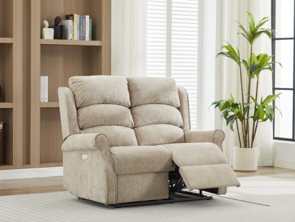 Regency 2 Seater Electric Rabbit