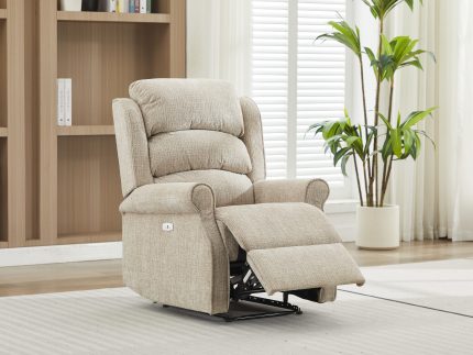 Regency Armchair Electric Rabbit