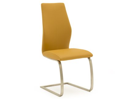 Irma Dining Chair - Brushed Steel Pumpkin (2/Box)